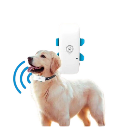 Anti-lost Waterproof Pet Collar